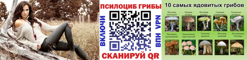Галлюциногенные грибы Magic Shrooms  Новое Девяткино 